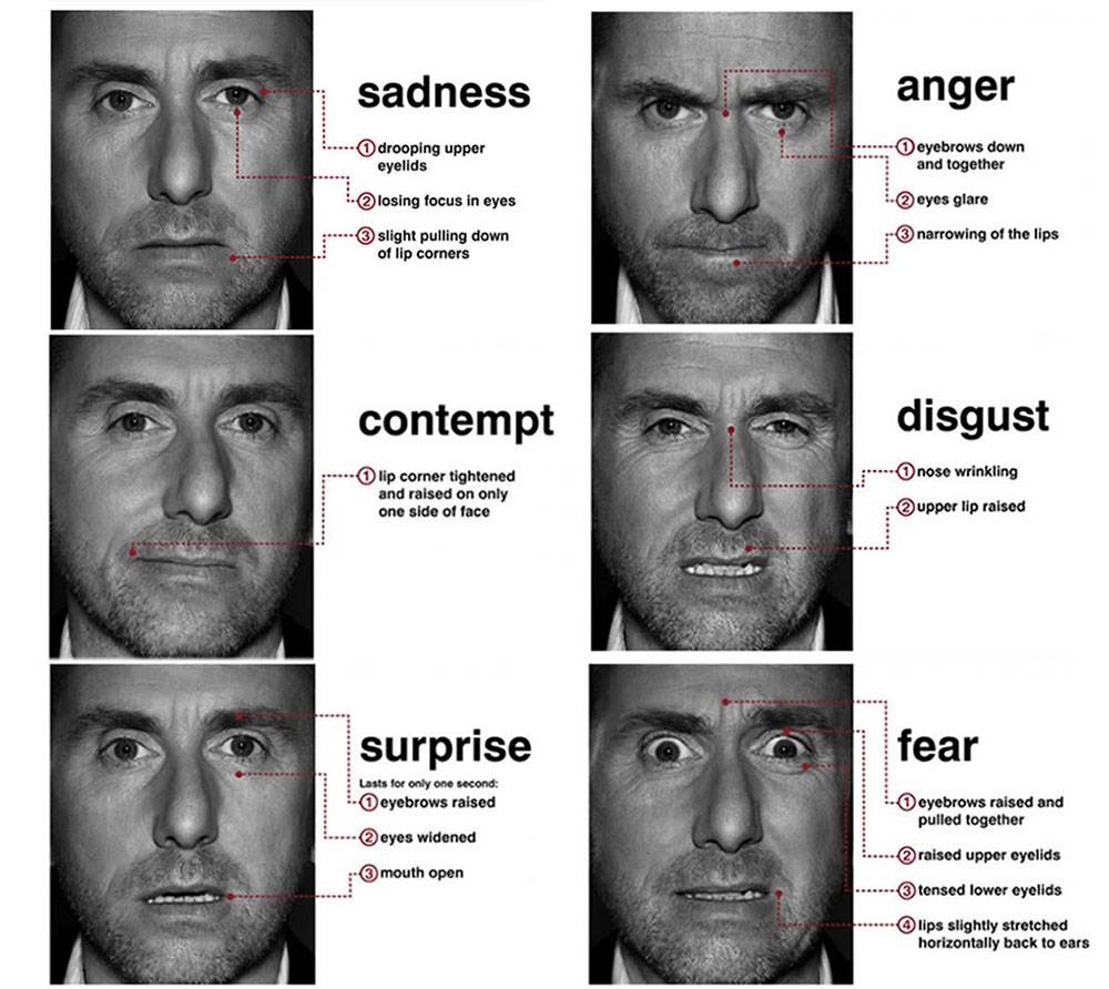 Major facial compilation image